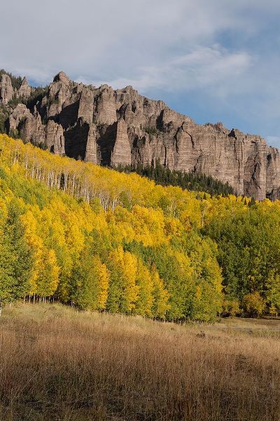 Jaynes Gallery 아티스트의 USA-Colorado-Uncompahgre National Forest Mountain and forest in autumn작품입니다.